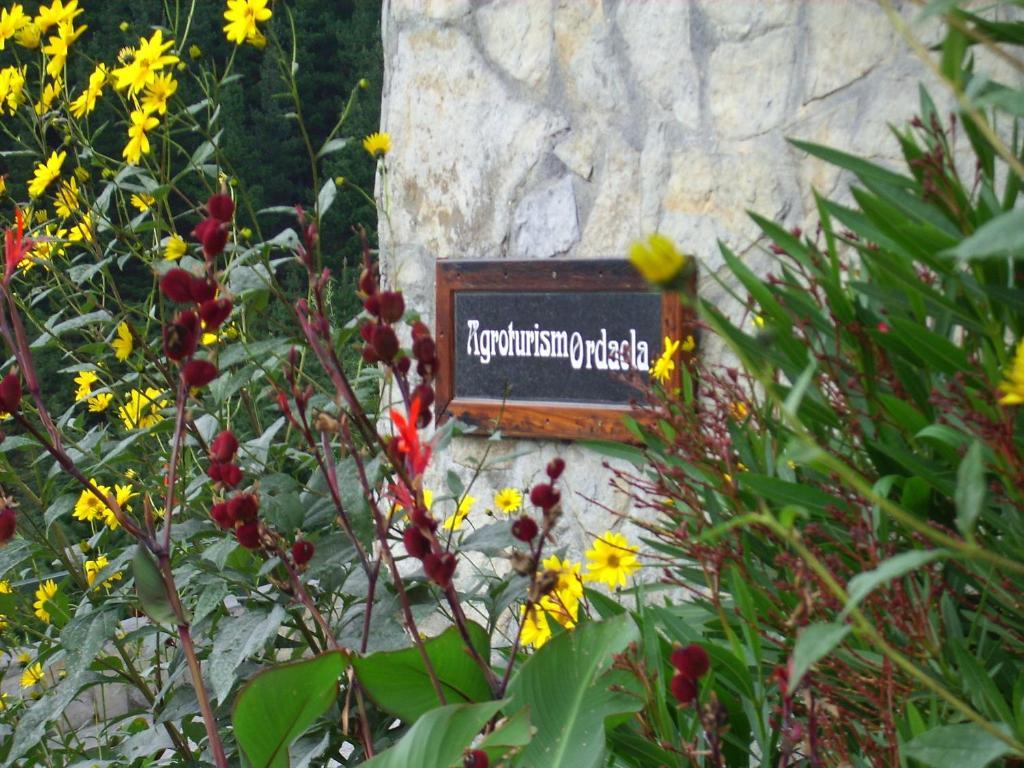 Agroturismo Ordaola Alonsotegi Exterior photo